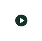 play-icon